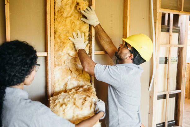Best Wall Insulation Contractor  in Barre, VT
